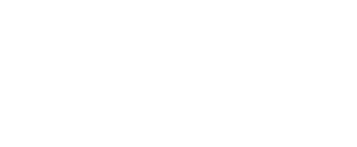 BauVision